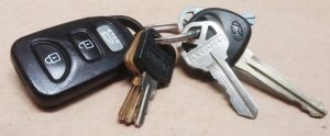 Read more about the article Over 500 members are using OSPE’s recovery tag program — are you?