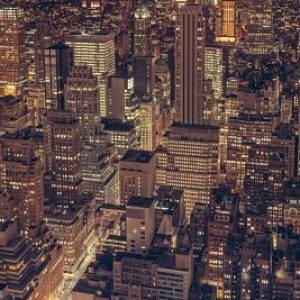 Sustainability of the urban jungle?