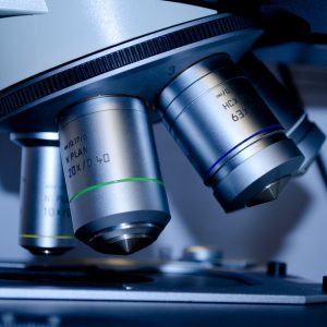 Who’s in control? Meet the chemical engineer challenging the cell