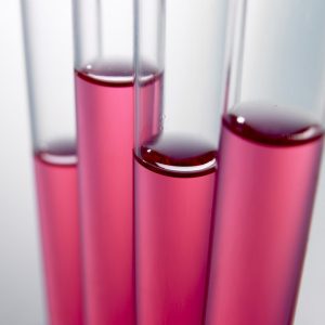 Uncovering the beauty of Seneca College’s Cosmetic Science Co-op Program