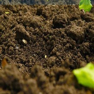 Digging up the truth on excess soil management