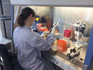 Read more about the article CCRM: Cultivating Good Health one Stem Cell Treatment at a Time