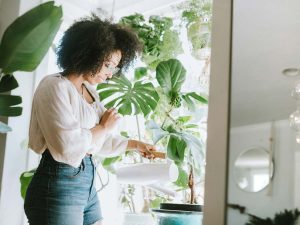 Read more about the article 12 Tips for Improving Air Quality in Your Home
