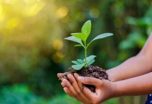 Read more about the article World Environment Day: OSPE’s Statement on Climate Change