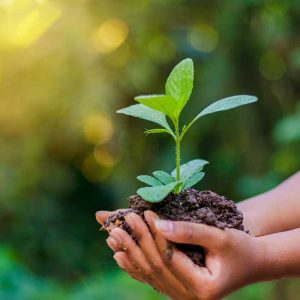 World Environment Day: OSPE’s Statement on Climate Change